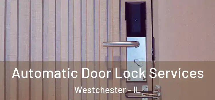 Automatic Door Lock Services Westchester - IL