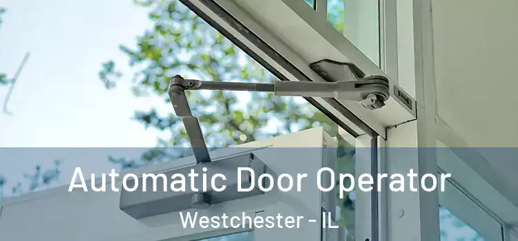 Automatic Door Operator Westchester - IL