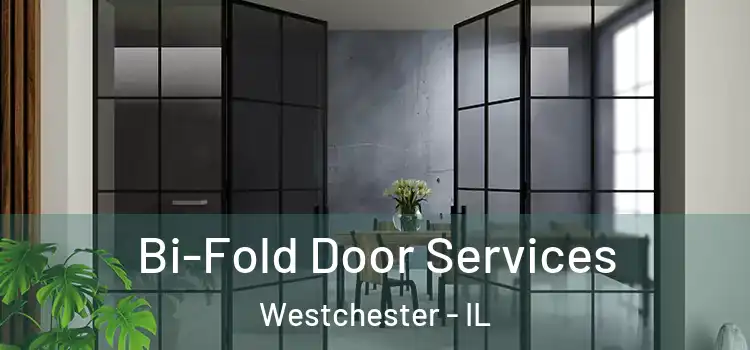 Bi-Fold Door Services Westchester - IL