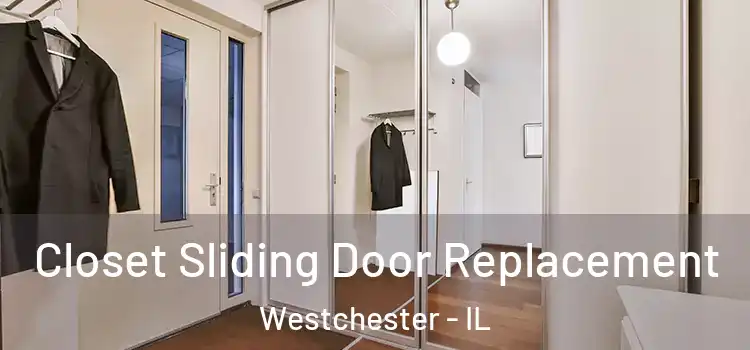 Closet Sliding Door Replacement Westchester - IL