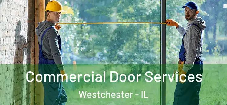 Commercial Door Services Westchester - IL