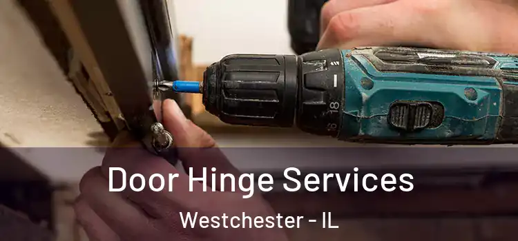 Door Hinge Services Westchester - IL