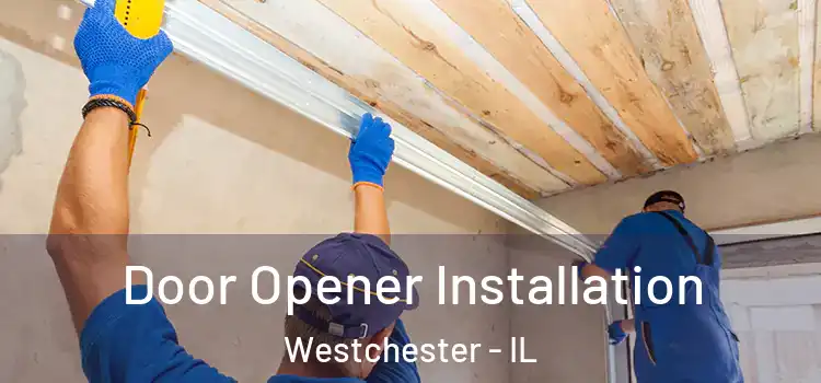 Door Opener Installation Westchester - IL