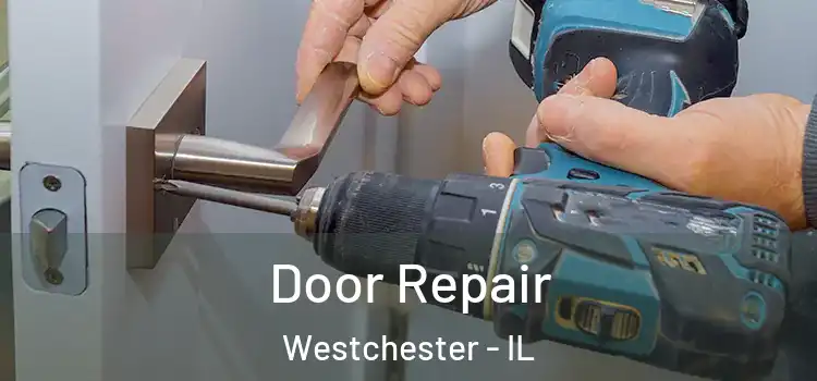 Door Repair Westchester - IL
