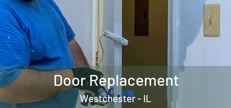Door Replacement Westchester - IL