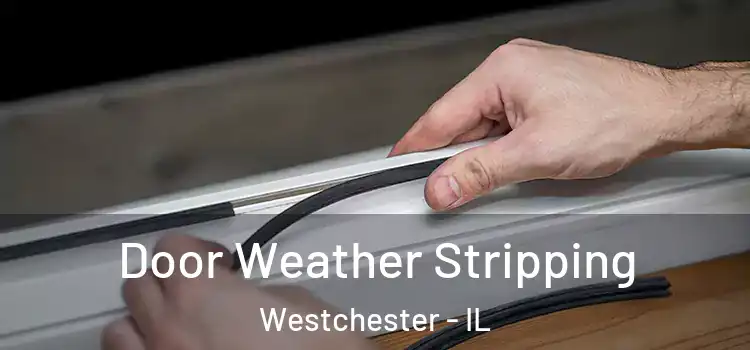 Door Weather Stripping Westchester - IL