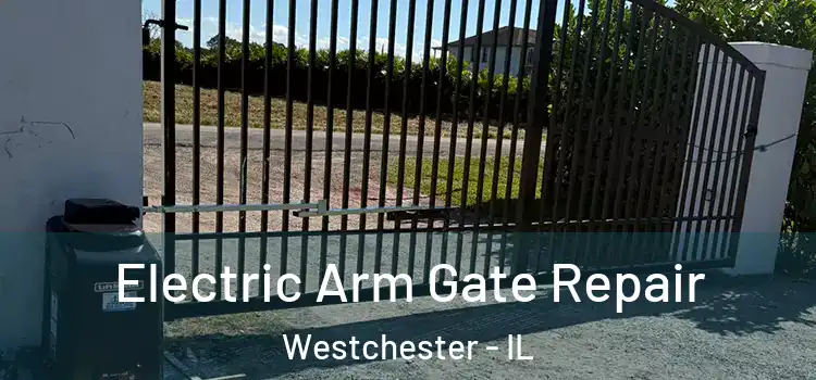 Electric Arm Gate Repair Westchester - IL