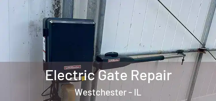 Electric Gate Repair Westchester - IL