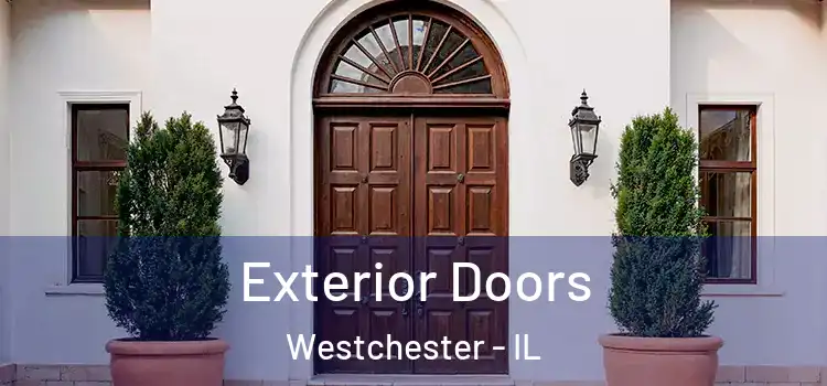 Exterior Doors Westchester - IL