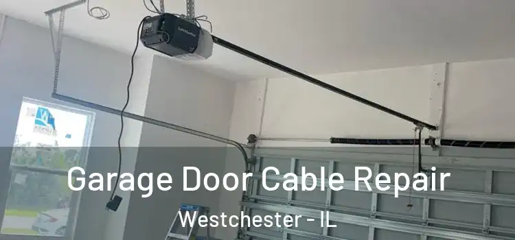  Garage Door Cable Repair Westchester - IL