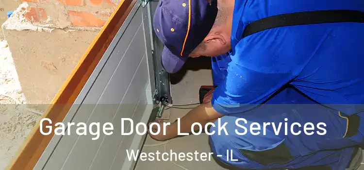 Garage Door Lock Services Westchester - IL