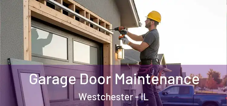 Garage Door Maintenance Westchester - IL