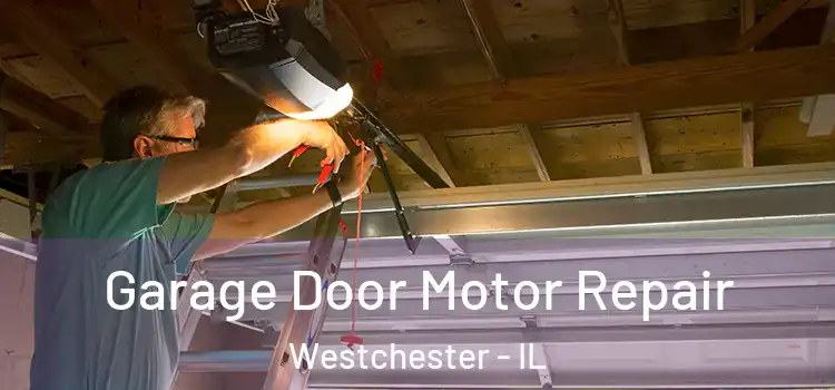  Garage Door Motor Repair Westchester - IL