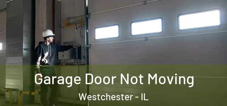  Garage Door Not Moving Westchester - IL
