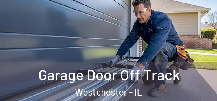  Garage Door Off Track Westchester - IL