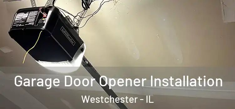  Garage Door Opener Installation Westchester - IL
