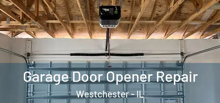  Garage Door Opener Repair Westchester - IL