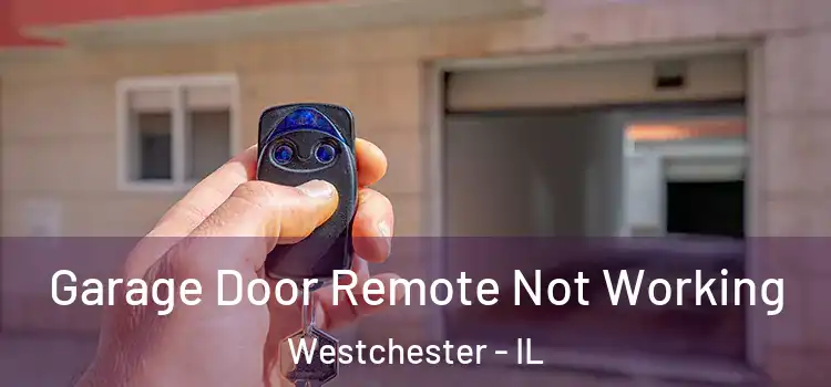  Garage Door Remote Not Working Westchester - IL
