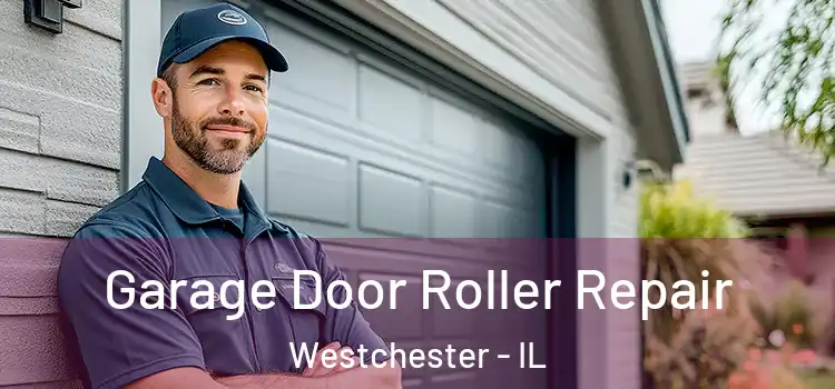  Garage Door Roller Repair Westchester - IL