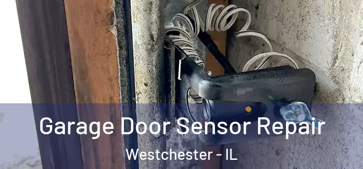 Garage Door Sensor Repair Westchester - IL