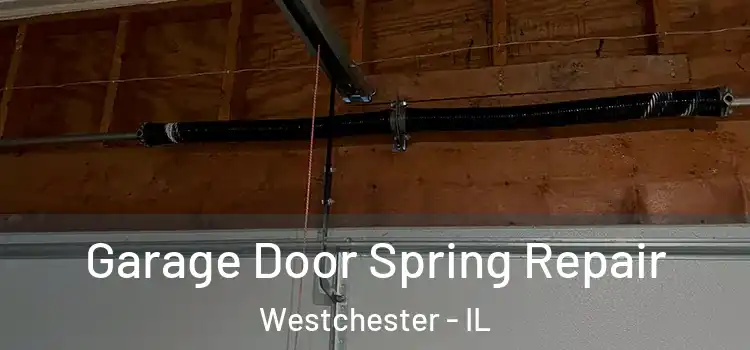  Garage Door Spring Repair Westchester - IL