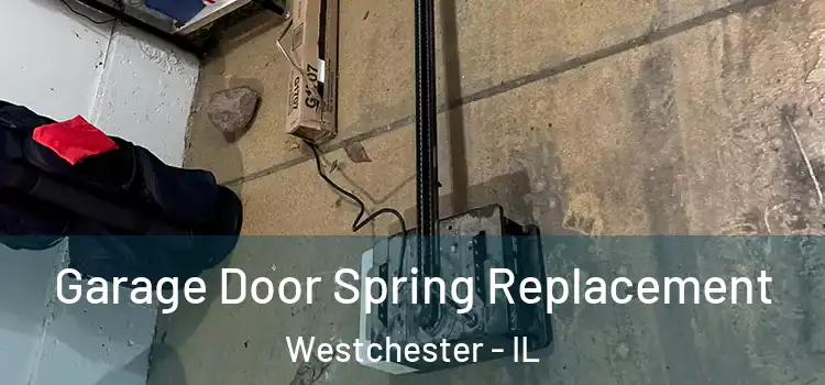 Garage Door Spring Replacement Westchester - IL