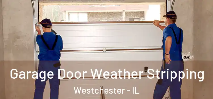  Garage Door Weather Stripping Westchester - IL