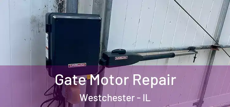 Gate Motor Repair Westchester - IL