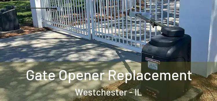 Gate Opener Replacement Westchester - IL