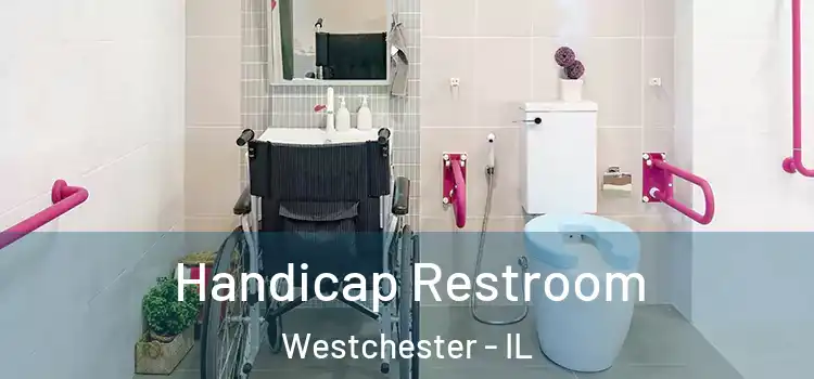 Handicap Restroom Westchester - IL