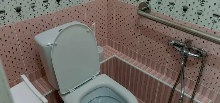 Meeting Diverse Needs With Accessible Restroom Solutions in Westchester, IL