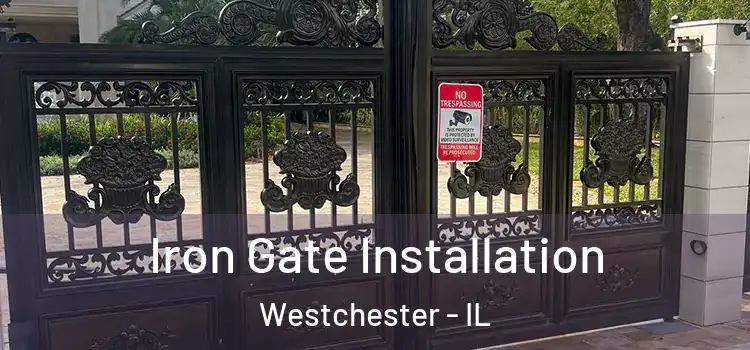 Iron Gate Installation Westchester - IL