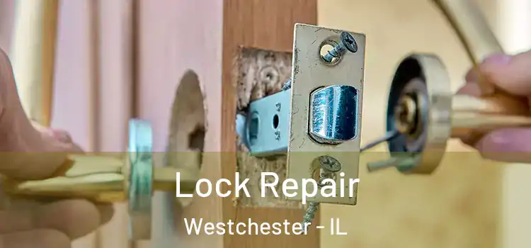 Lock Repair Westchester - IL