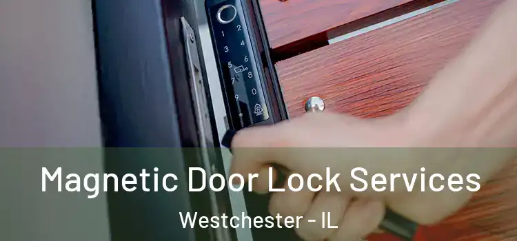 Magnetic Door Lock Services Westchester - IL