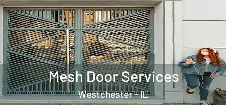 Mesh Door Services Westchester - IL