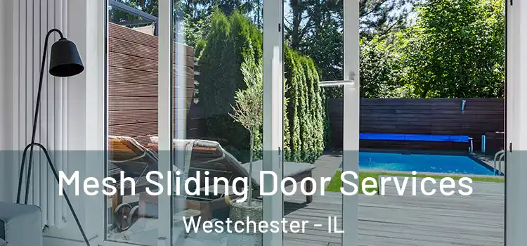 Mesh Sliding Door Services Westchester - IL