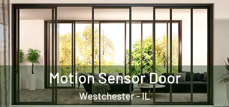 Motion Sensor Door Westchester - IL