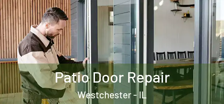 Patio Door Repair Westchester - IL