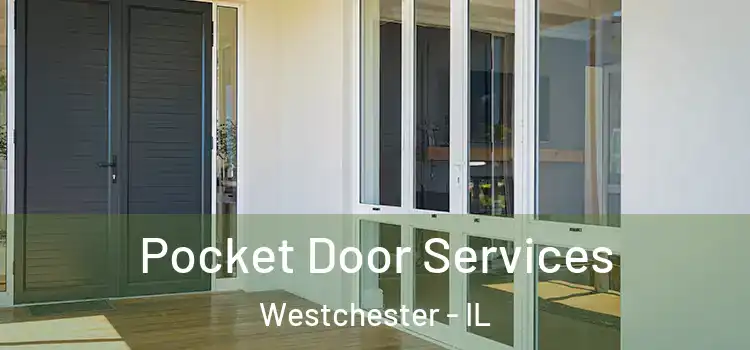 Pocket Door Services Westchester - IL