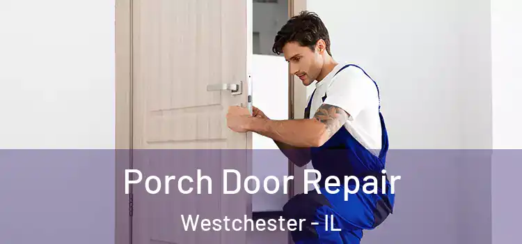  Porch Door Repair Westchester - IL