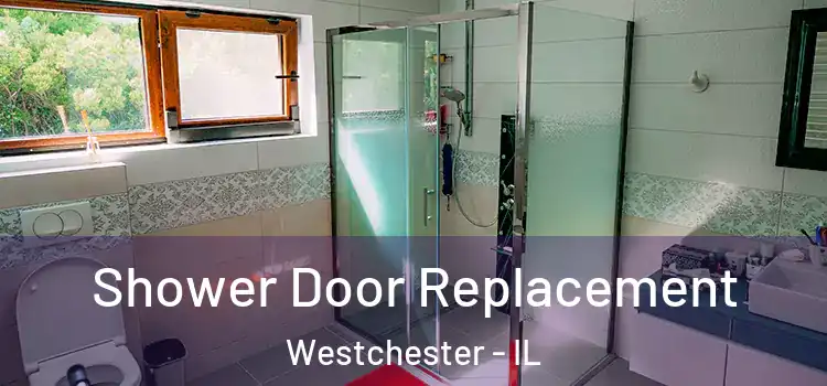 Shower Door Replacement Westchester - IL