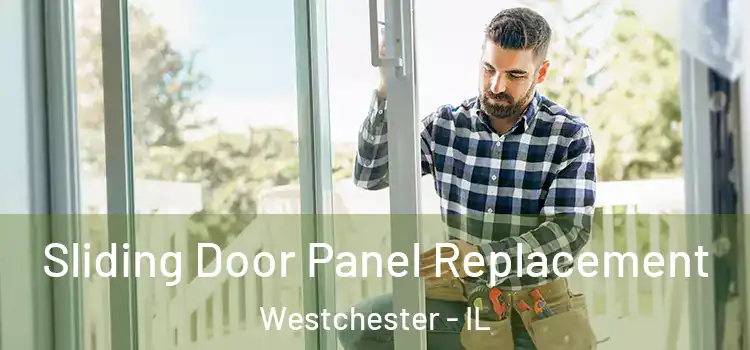  Sliding Door Panel Replacement Westchester - IL