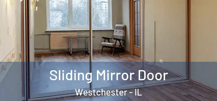  Sliding Mirror Door Westchester - IL