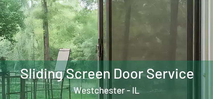 Sliding Screen Door Service Westchester - IL