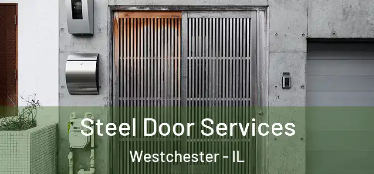 Steel Door Services Westchester - IL