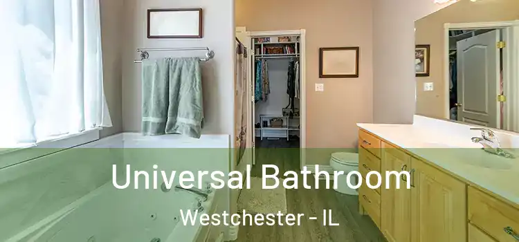 Universal Bathroom Westchester - IL