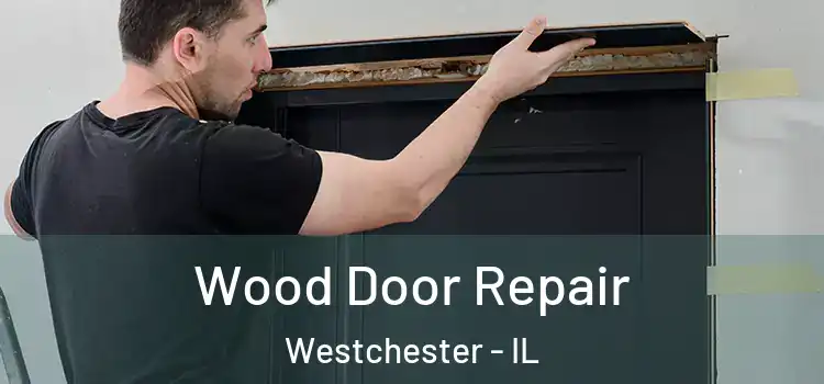 Wood Door Repair Westchester - IL
