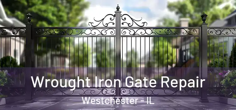  Wrought Iron Gate Repair Westchester - IL